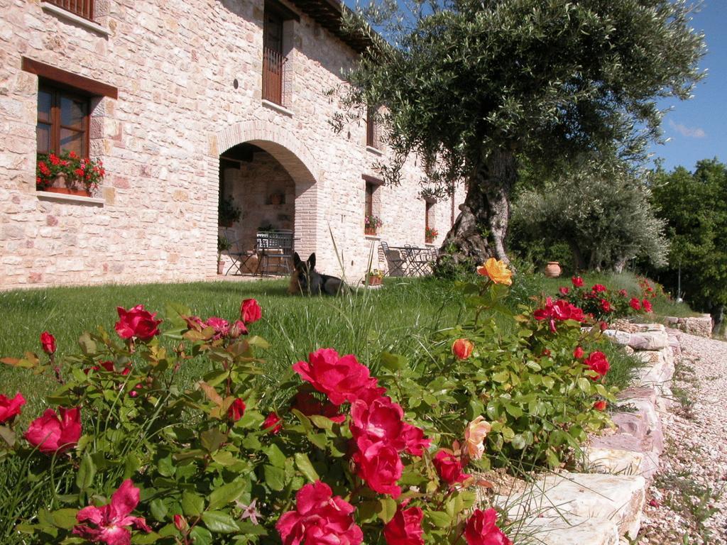 Villa Le Mandrie Di San Paolo à Assise Extérieur photo